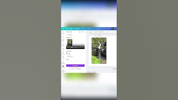 Create Reverse Video Effects in Canva