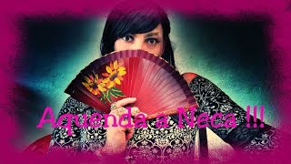 Tutorial De Como Aquendar A Neca