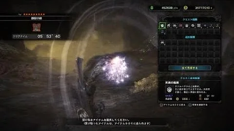 歴戦王 ヴァルハザク 弓 歴戦王 ヴァルハザク 弓