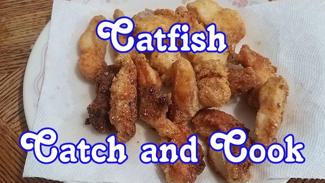 Catfish Catch and Cook YouTube