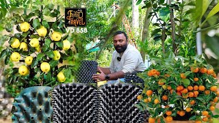 കട്ടപ്പന എയർപോട്ട് കൃഷിക്കായിട്ട് | Air pruning pots for efficient farming - Air pots for city farms