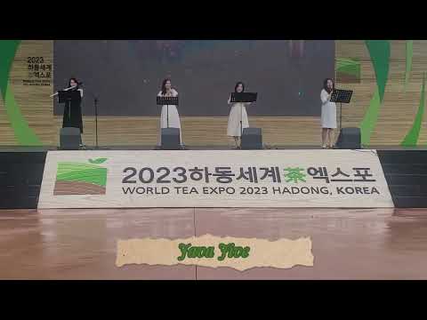 2023 JAVA JIVE 하동세계차엑스포 공연 실황 사천 엘 클래식