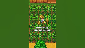 There’s a Stardew Crop That Makes You LOSE Money!