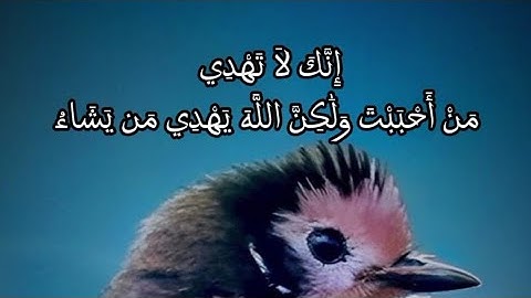 عكاشه كميني سورة [القصص]قراءة الامام خلف عن ألإمام حمزة