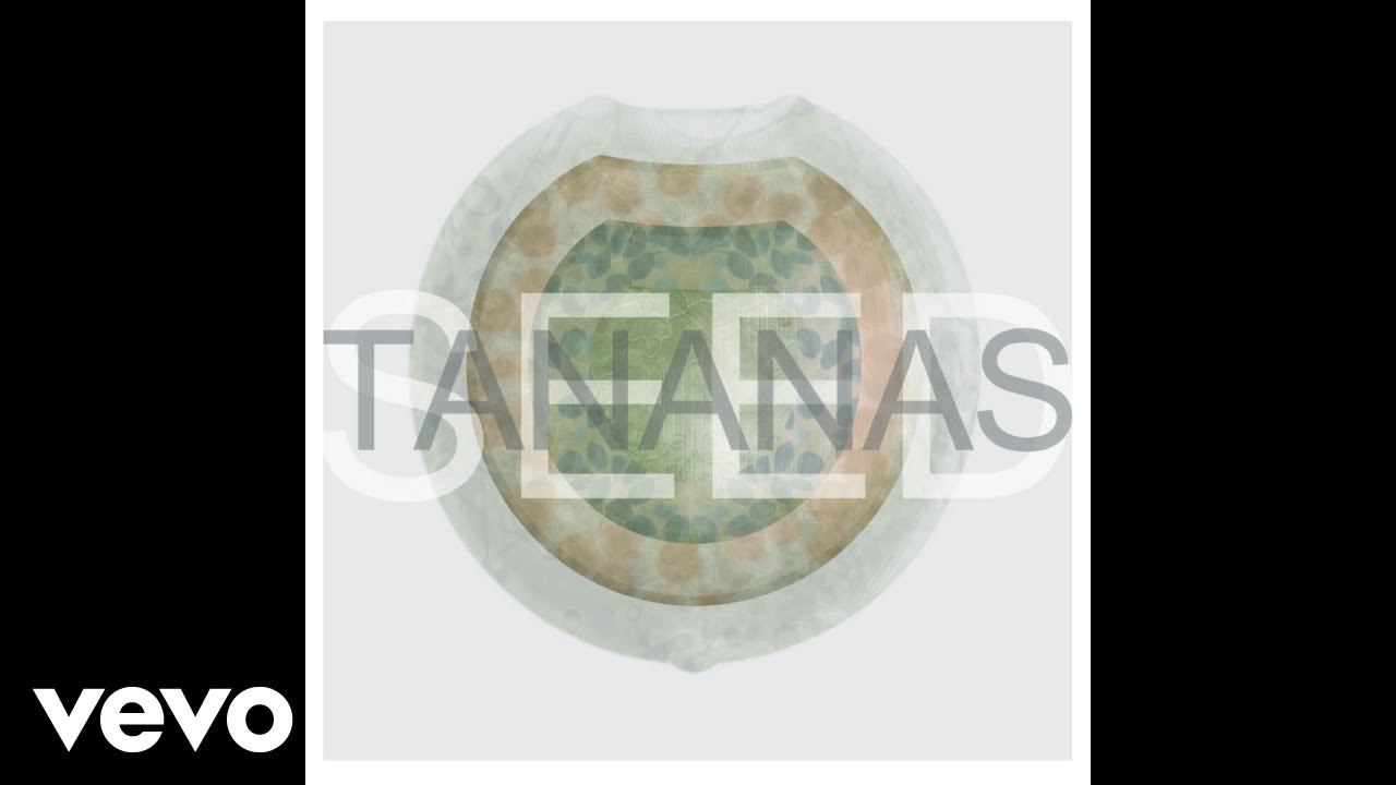 Watch Tananas - Ghetto (Official Audio) on YouTube Watch Tananas - Ghetto (Official Audio) on YouTube