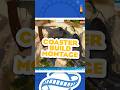 Coaster Build Montage!!!! #gaming #planetcoaster #planetcoaster2 #ps5gaming #themepark