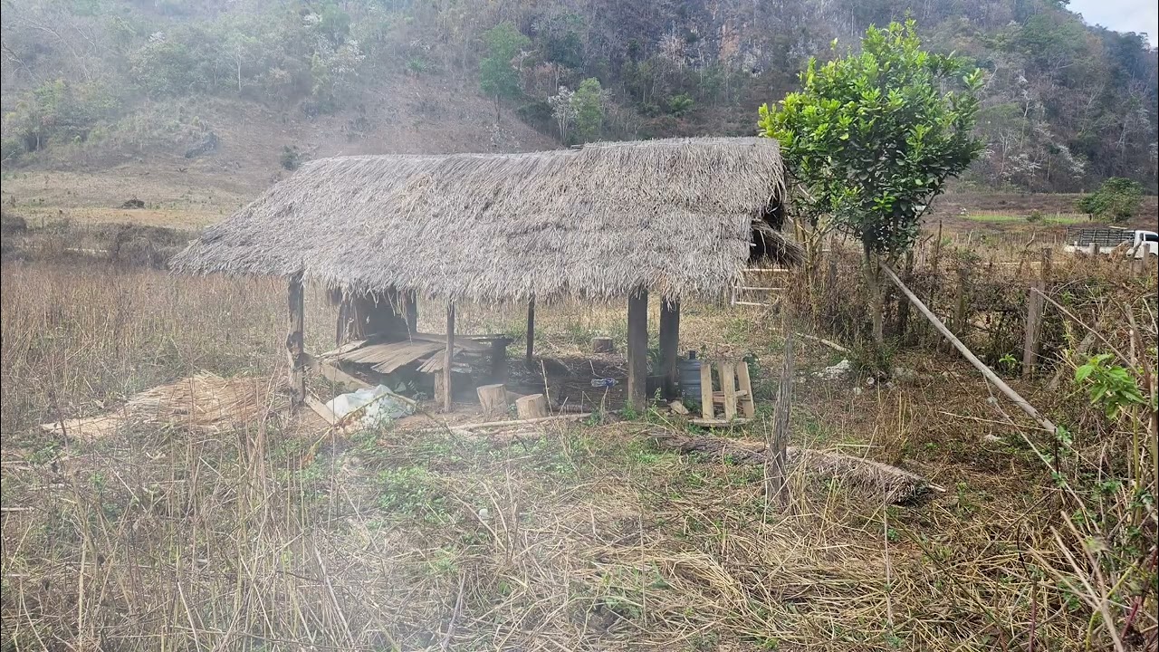 Dab Neeg Ntes Poj ntxoog Ram Teb 