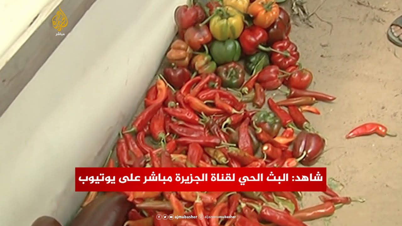محاصيل تالفة في غزة .. فما قصتها!
