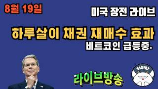 8월 19일 오토&미저리 브리핑 - SK 하이닉스 자사주 소각 / 채권 금리 급락