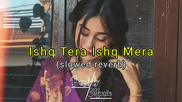 Ishq Tera Ishq Menu - Guru Randhawa (slowed reverb) | Dabb Music