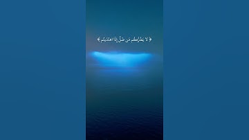 يا أيها الذين آمنوا عليكم أنفسكم || أجمل حالات واتس اب قرآن كريم بصوت جميل جدا Quran status