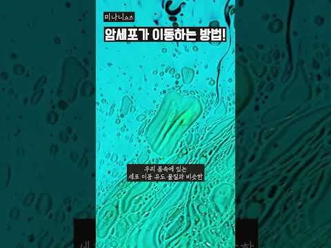 암세포가 이동하는 방법 #shorts