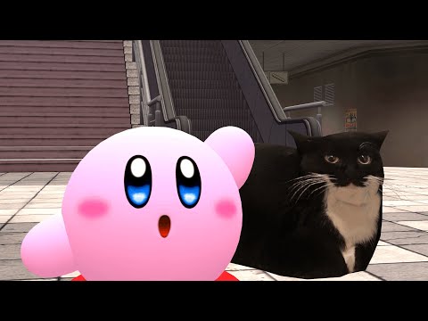 Kirby meets Cat