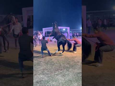 14 अक्टूबर 2025