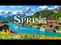 Switzerland in Spring Glow 🌿 Fresh Landscapes & Serene Alps | 4K