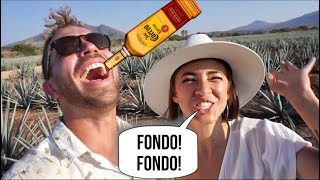 WE RODE THE "TEQUILA TRAIN" in MEXICO! ft. CASS ARAGON
