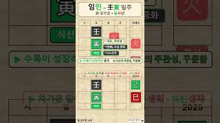임인일주 / 여유 와 역마성 / 식신의 주관성 / 新 일주론 39편 / 사주명리 / 사주기초 / 사주풀이 / 운세 2025 / 을사년 임수 / #사주명리학독학 /  #사주명리학강의