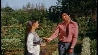 Baho Ke Ghere Me - Nazrana Pyar Ka - Bollywood Romantic Song