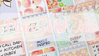 Plan With Me / Feat Simply Water Color Co