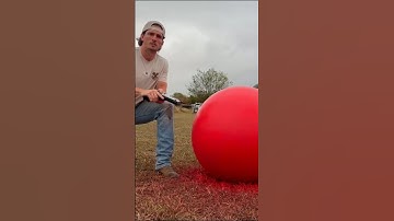 Can That Red Ball Form Target Stop Bullets??? 💥