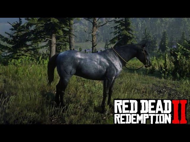 Os melhores cavalos de Red Dead Redemption II e onde encontrar – Tecnoblog