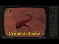 The Crimson Snack WoW Guide // DATA_LOG_26-12