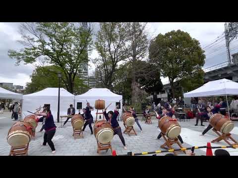 あづま太鼓/2023すみださくらまつり/墨田区太鼓連盟