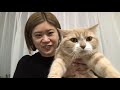 【YouTubuライブ】＆Qoo10購入品紹介