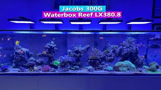 Jacob's 300G Waterbox Reef LX380.8  Techy Reefing Edition :)