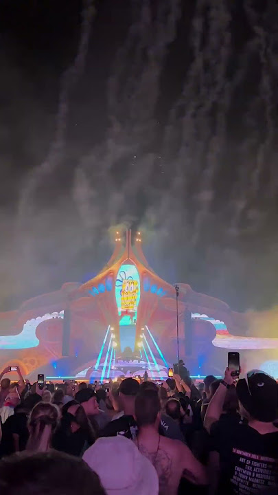 Spongebob at Harmony of Hardcore 2024 🧽🎡 #festival #hardmusic #tekno