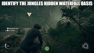 Ancestors the Humankind Odyssey - How to identify the jungle's hidden waterfall oasis