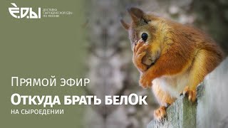 картинка: ПРЯМОЙ ЭФИР 07.04.22 | ОТКУДА БРАТЬ БЕЛОК НА СЫРОЕДЕНИИ