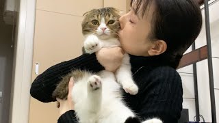 パパ猫「寝てたらママに吸われました…」