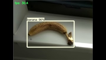 object detection #325689