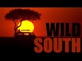 WILD SOUTH | Amazing Nature of Southern Africa Full Documentary