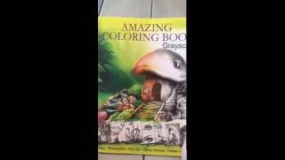 Amazing Coloring Book. Grayscale. Adult Coloring BookReview
