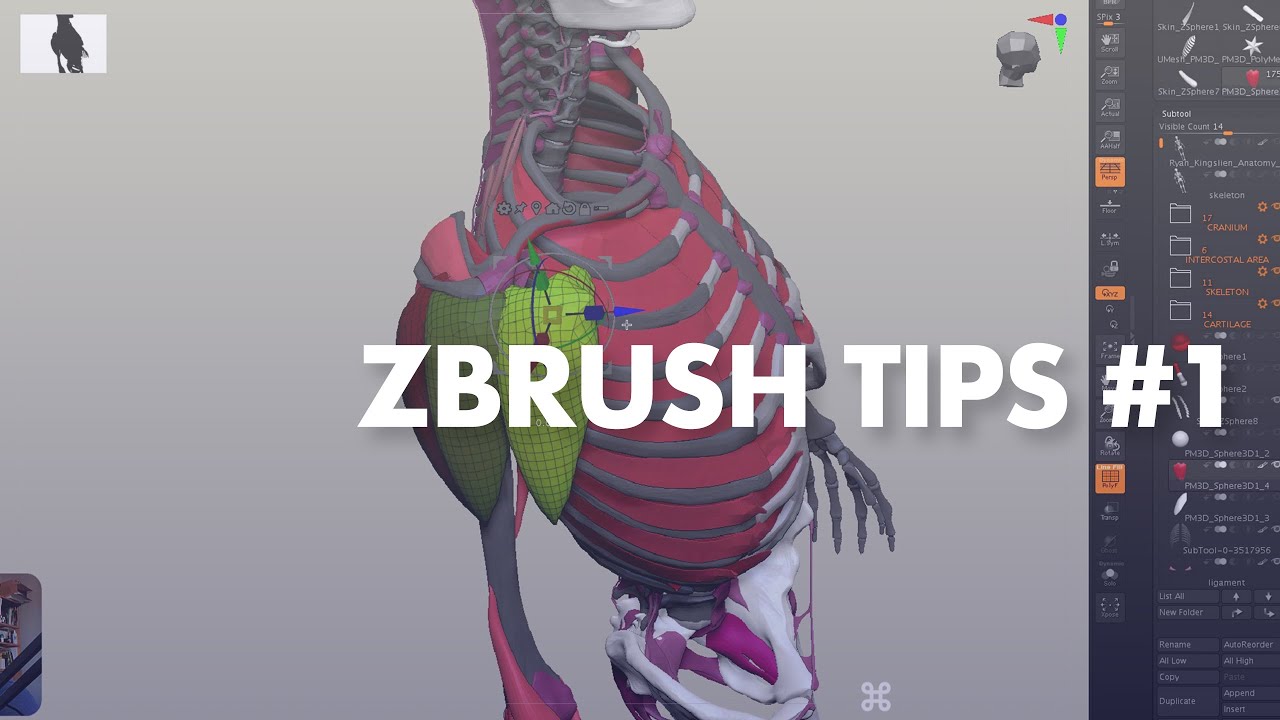 ZBRUSH TIPS #1 | Tutorial ita zbrush gizmo, insert brush - YouTube