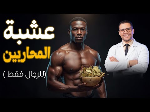 عشبة محاربين افريقيا افضل عشبة للرجال