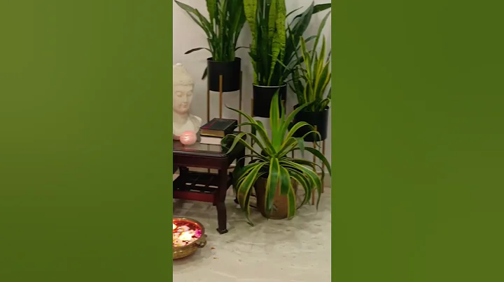 #homedecor #shorts#short#ytshorts #ytviralvideo #indoorplantsathome #interiordesign #gardening
