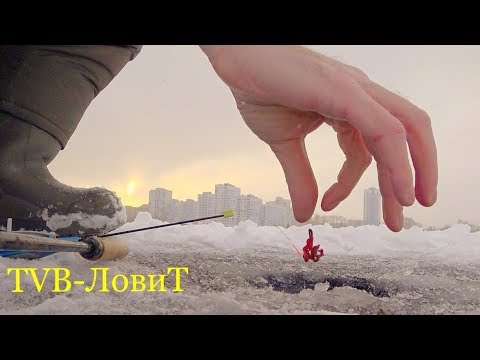 Video: The Wisdom Of Winter Fishing