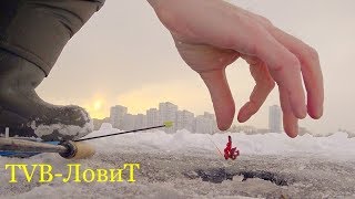 Зимняя рыбалка на дорогую мормышку которая ловит всё!