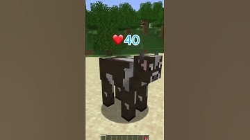 Minecraft: Most CURSED Texture Packs Part 3?!