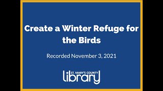 Create a Winter Refuge for the Birds