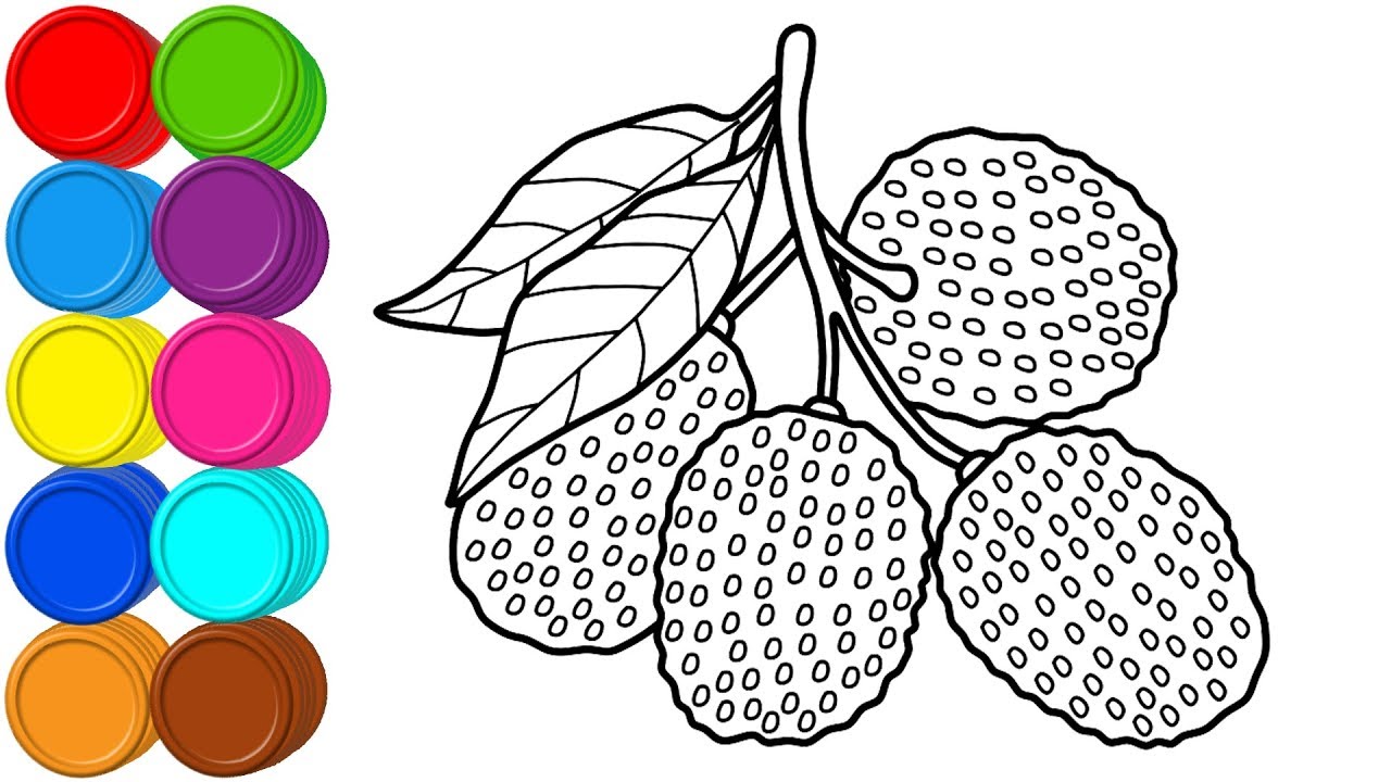 Litchi sketch illustration Stock Vector Image & Art - Alamy