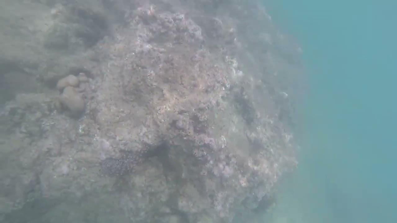 Snorkelling in Thailand Phuket 2017