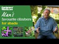 Five climbers for shade  alan titchmarsh