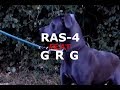 Ras4 ft grg  freestyle clip officiel