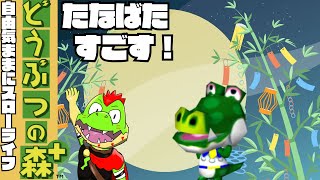 七夕だぞ　#04【川鰐グラムのどうぶつの森＋実況】#どうぶつの森 #animalcrossing  #ゲーム実況