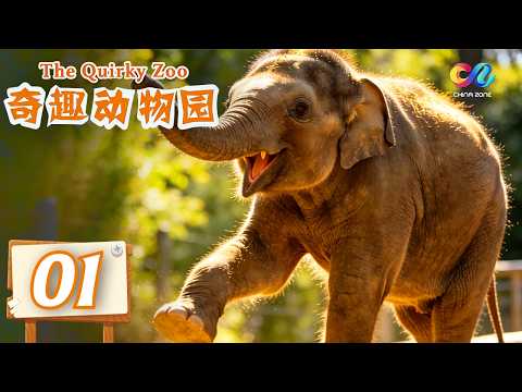 【FULL】Talented Actors Of The Animal World | 奇趣动物园 01 | China Zone-纪录片