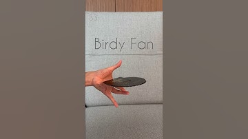 Birdy Fan  #cardfanning #xcm #cardistry #cardflourish #playingcards #fanning #cardfan #cradletograve